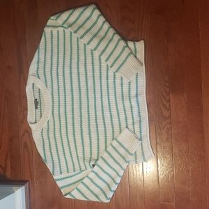 Wild Fable Green Striped Cropped Sweater